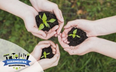 Filléres fenntarthatóság: Így lehet olcsón környezetbarátabb az otthonod